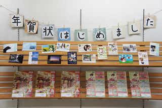 DSC01884-1.jpg