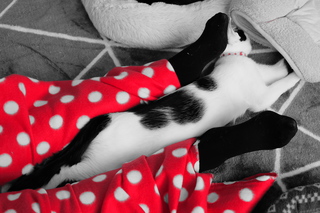 DSCF9458.JPG