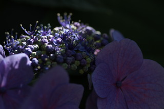 IMG_0044.JPG